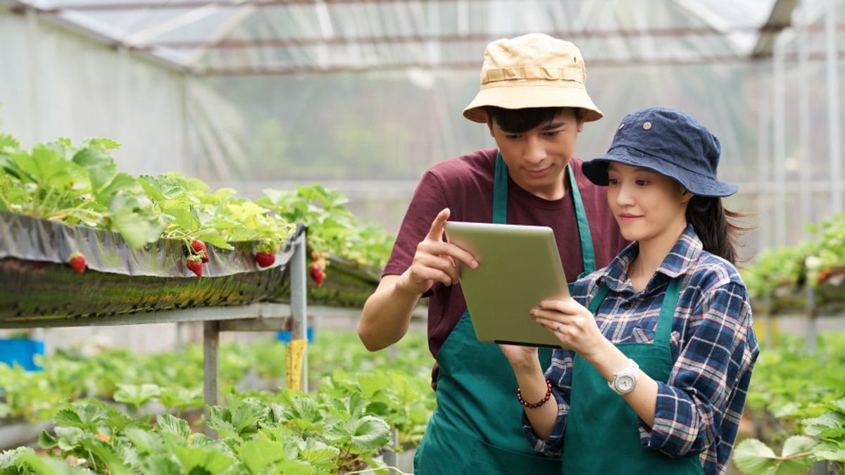 CropSense Software hadir